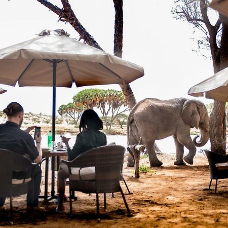 Elephant Bedroom Camp - Samburu Archers Post Bagian luar foto