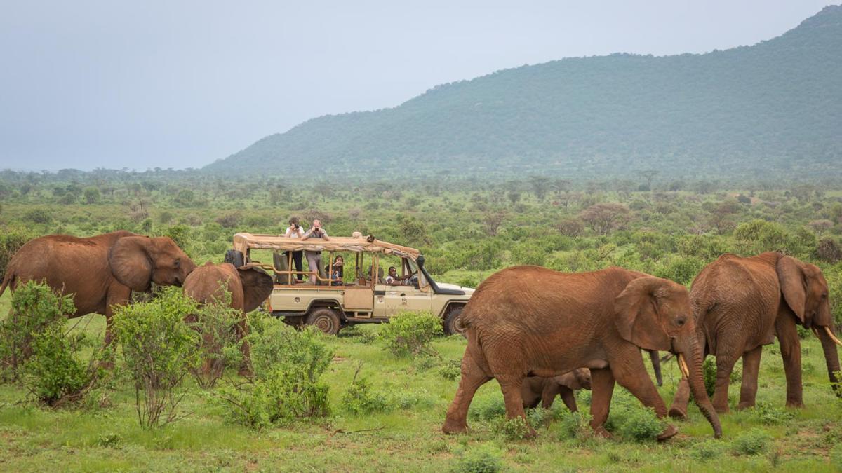 Elephant Bedroom Camp - Samburu Archers Post Bagian luar foto