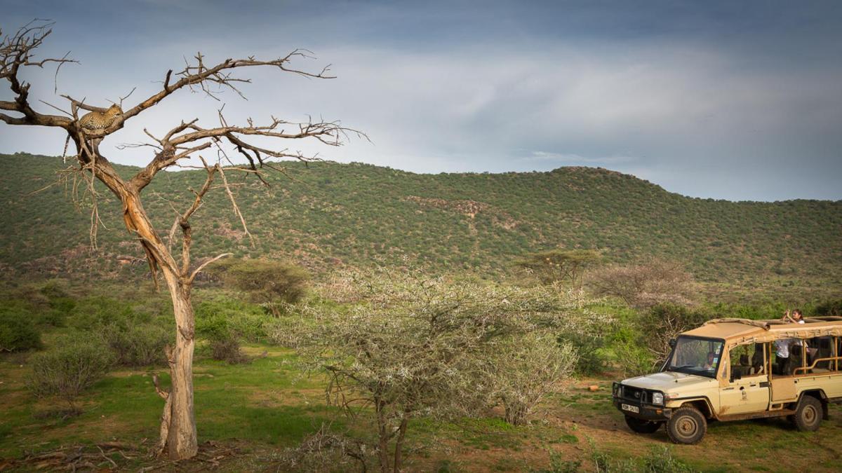 Elephant Bedroom Camp - Samburu Archers Post Bagian luar foto
