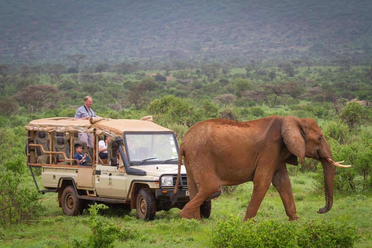 Elephant Bedroom Camp - Samburu Archers Post Bagian luar foto