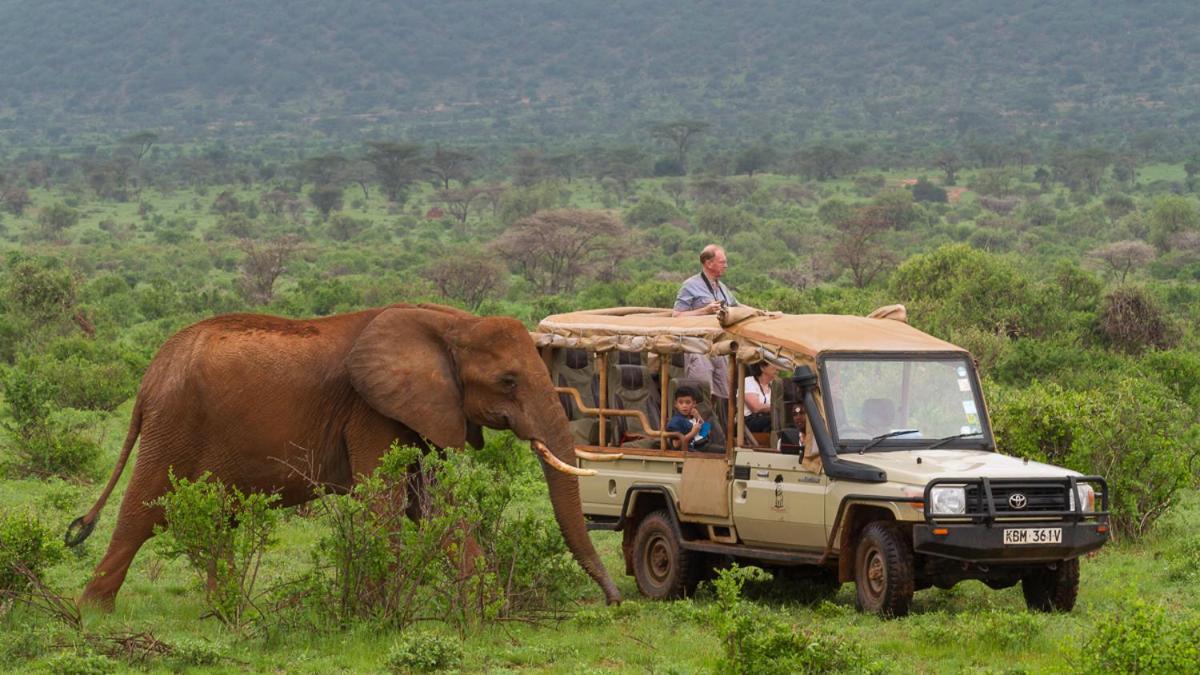Elephant Bedroom Camp - Samburu Archers Post Bagian luar foto