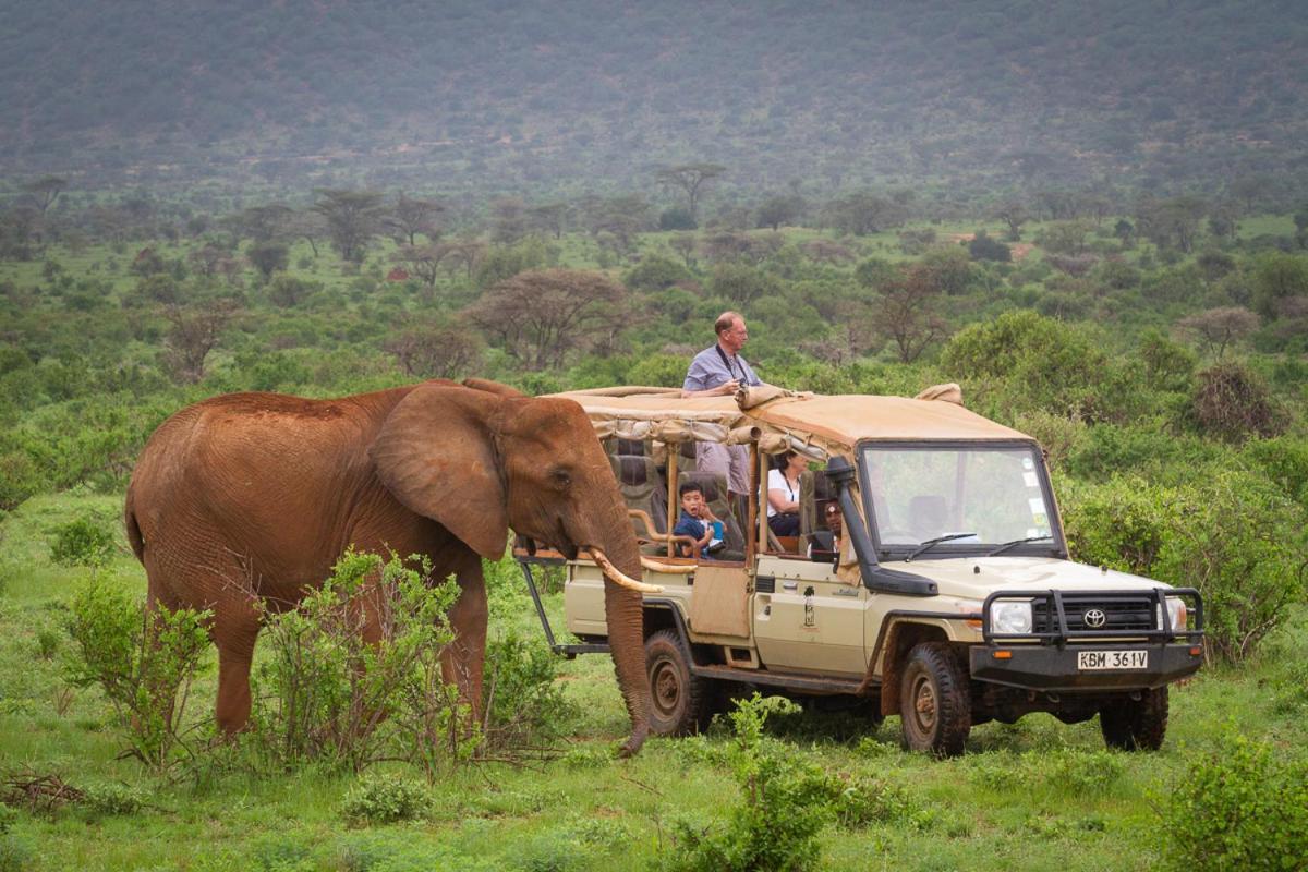 Elephant Bedroom Camp - Samburu Archers Post Bagian luar foto