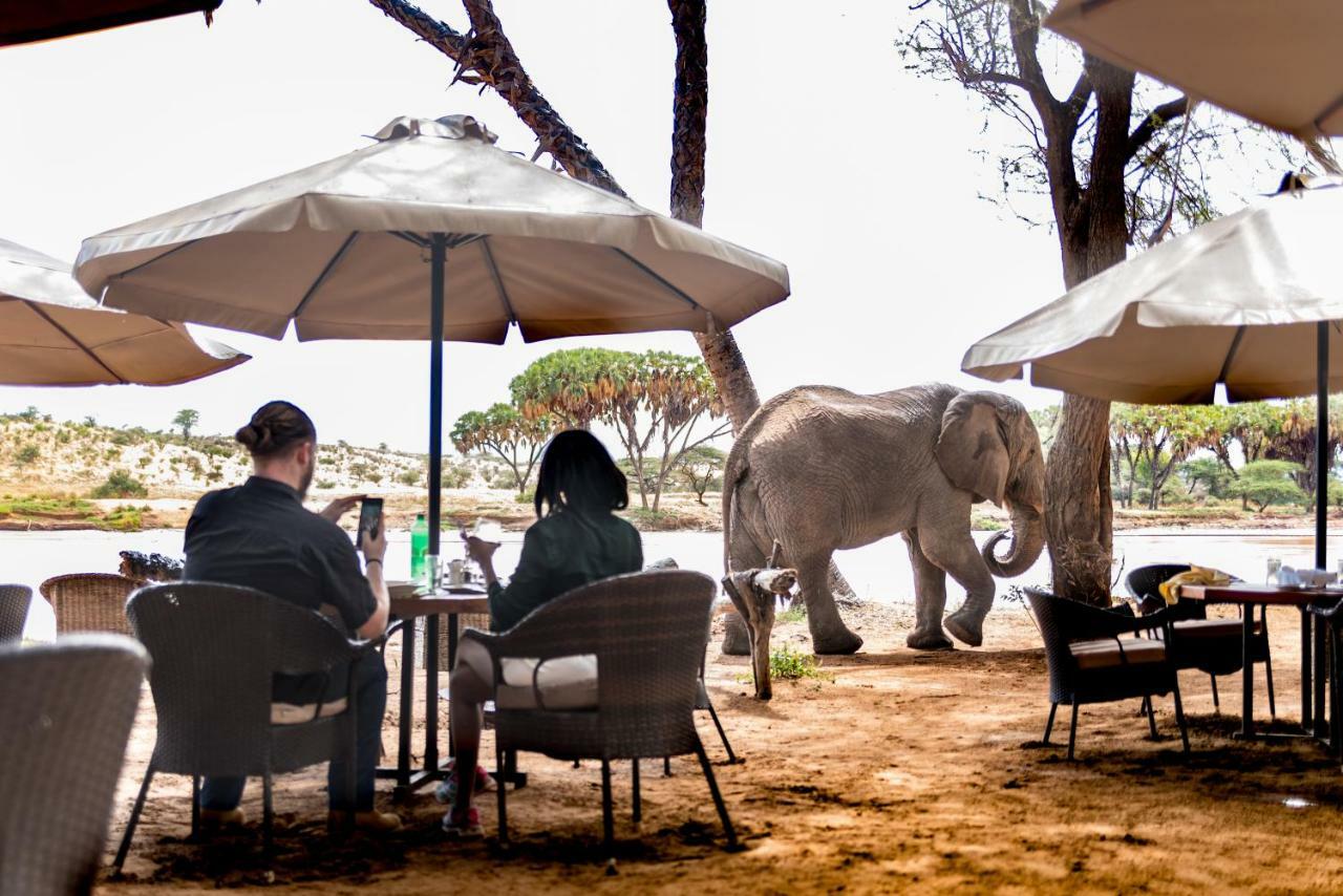 Elephant Bedroom Camp - Samburu Archers Post Bagian luar foto