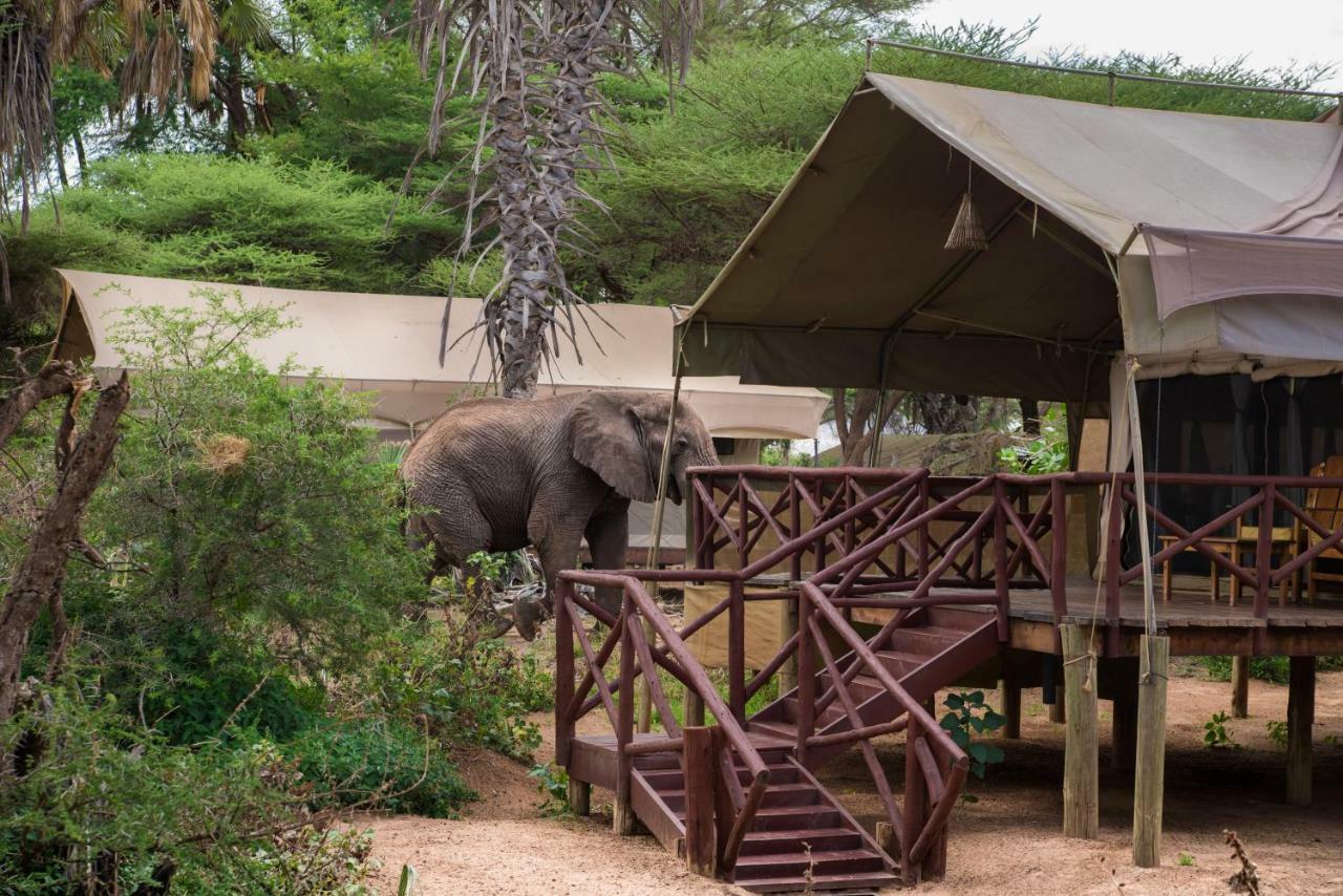 Elephant Bedroom Camp - Samburu Archers Post Bagian luar foto